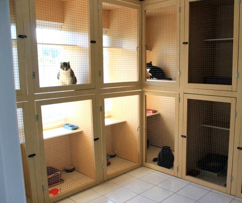 Beds for Tails Country Kennels | 6363 Bank St, Greely, ON K4P 1J3, Canada | Phone: (613) 821-3894