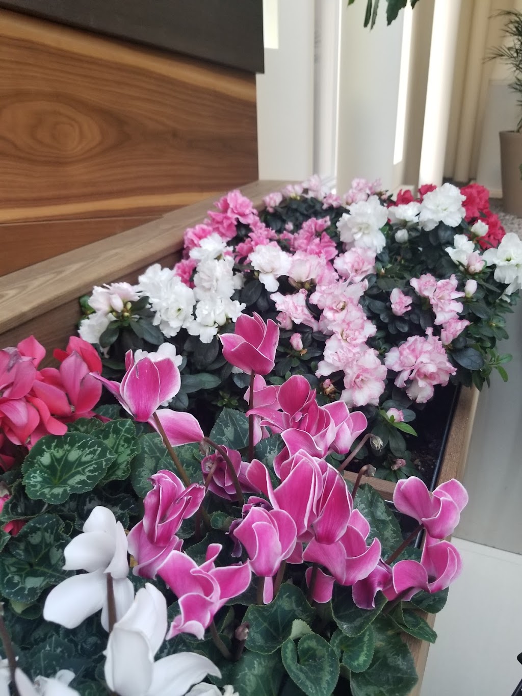 Bethany Riverview | 2915 26 Ave SE #200, Calgary, AB T2B 2W6, Canada | Phone: (587) 392-3999