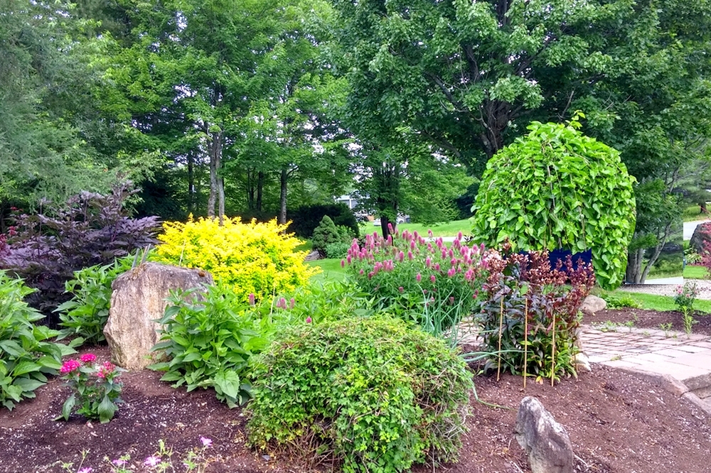 Terrassement De LEstrie Inc | 4560 Rue Cardinal RR 2, Ascot Corner, QC J0B 1A0, Canada | Phone: (819) 563-9105