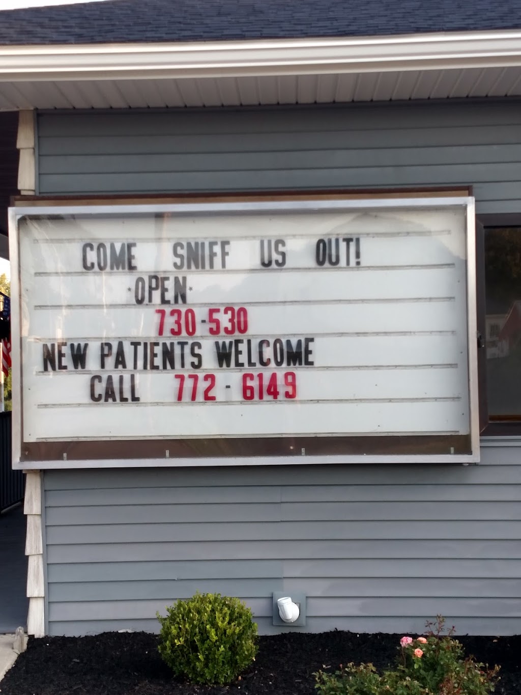 Flint Veterinary Care Center | 4437 Main St, Gasport, NY 14067, USA | Phone: (716) 772-6149