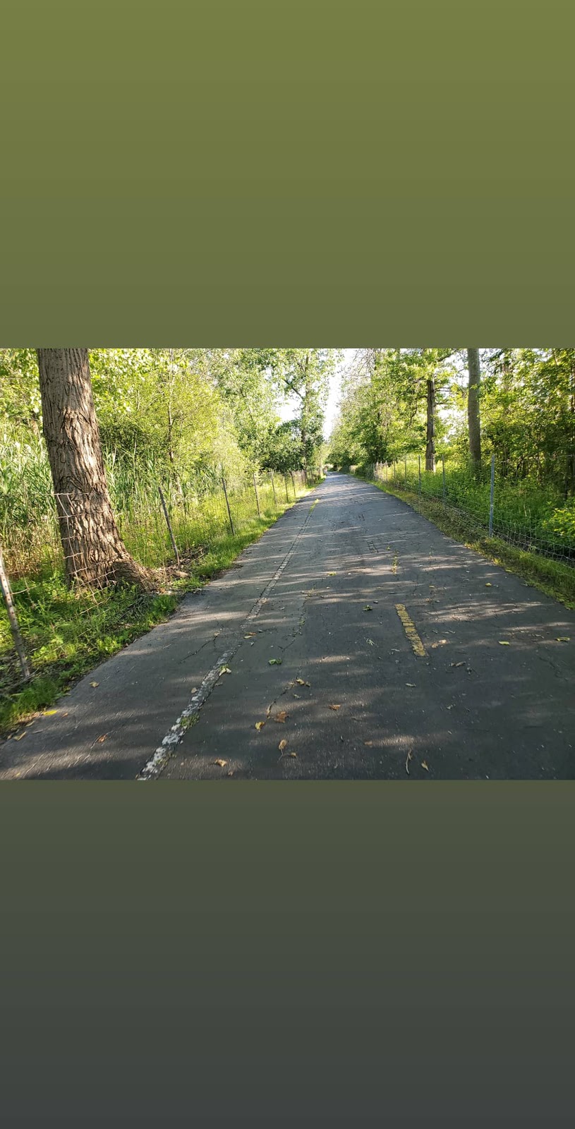 Willow Ridge Park | Buffalo, NY 14228, USA