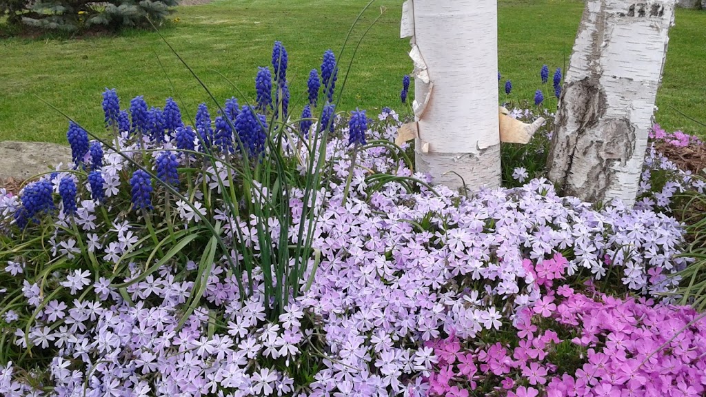 Gardeners Choice Landscaping | 29 Tuscarora St, Cayuga, ON N0A 1E0, Canada | Phone: (289) 370-0155