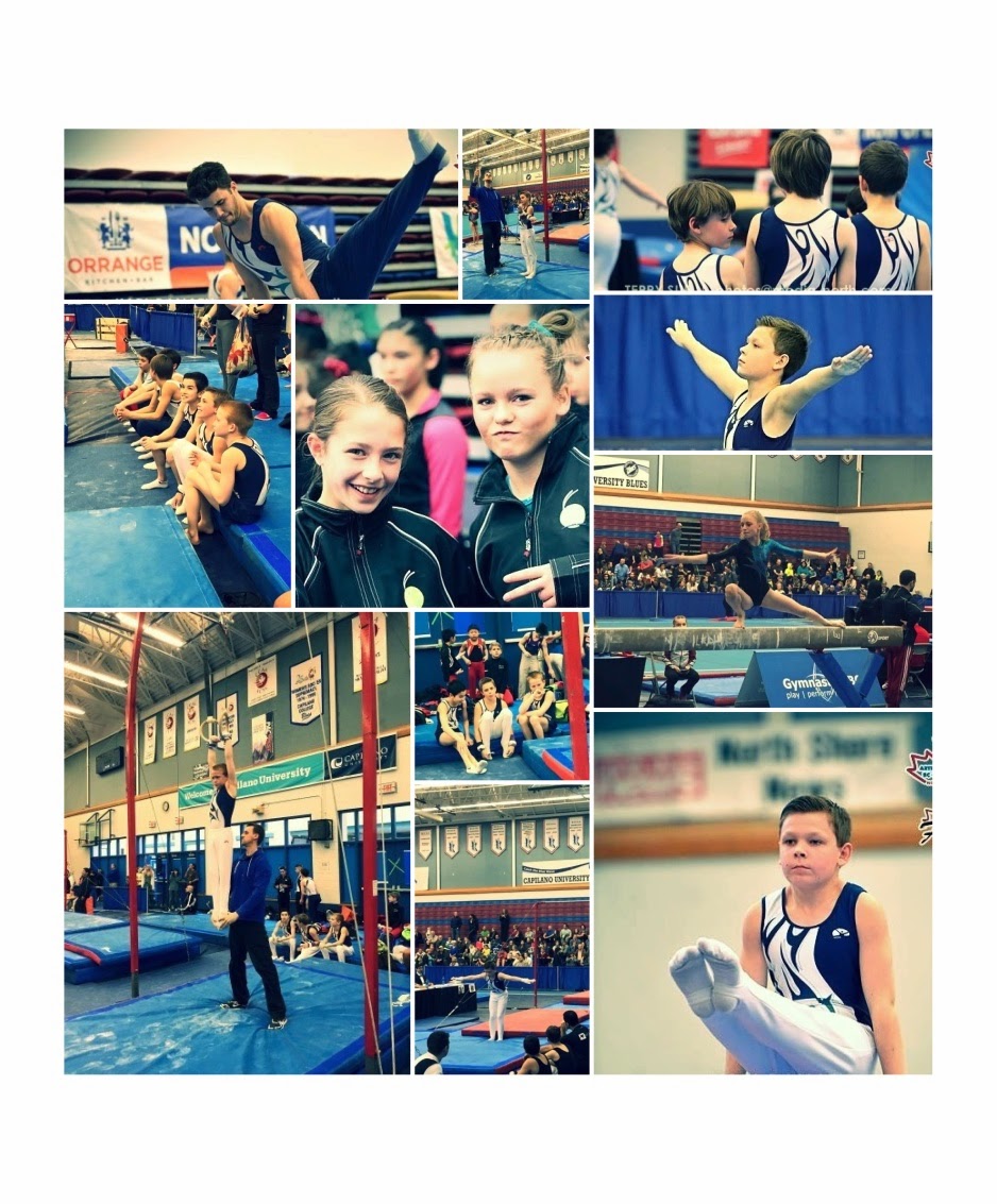 Langley Gymnastics Foundation | Suite #180 Box #16 7888 200 St, Langley City, BC V2Y 3J4, Canada | Phone: (604) 455-8845