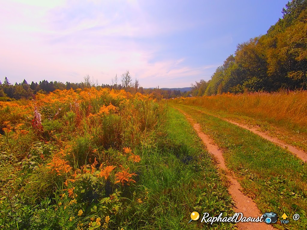 Gîte du Moulin Baude | 381 Rue des Pionniers, Tadoussac, QC G0T 2A0, Canada | Phone: (418) 235-4830