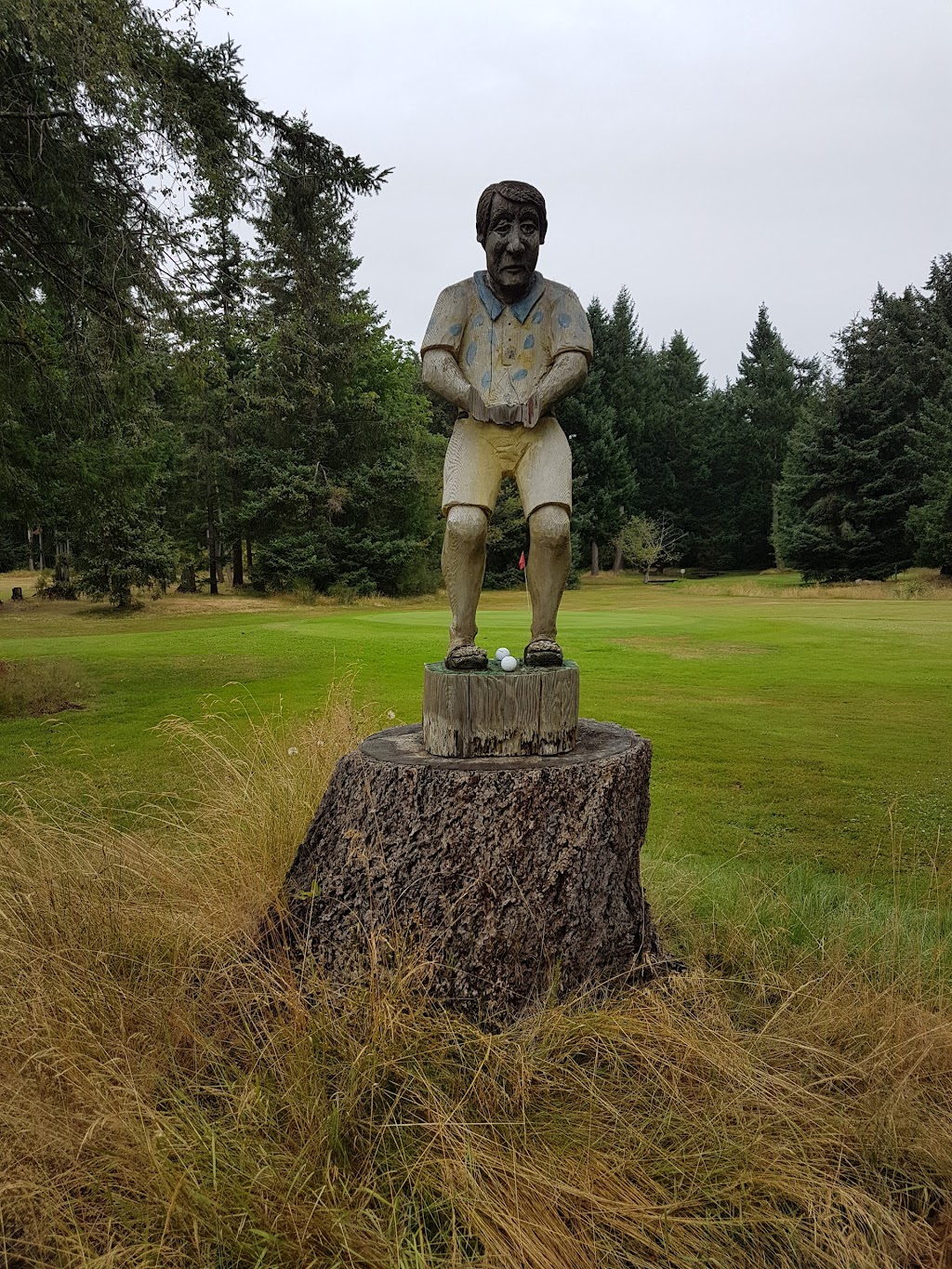 The Park Golf Course & Restaurant & RV Park | 1239 Anderton Rd, Comox, BC V9M 3Z2, Canada | Phone: (250) 339-6363