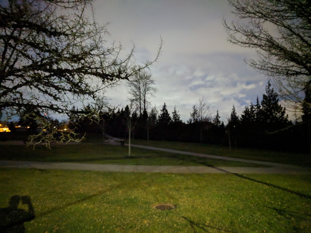 Frost Road Park | 8607 164a St, Surrey, BC V4N 1C7, Canada | Phone: (604) 591-4011
