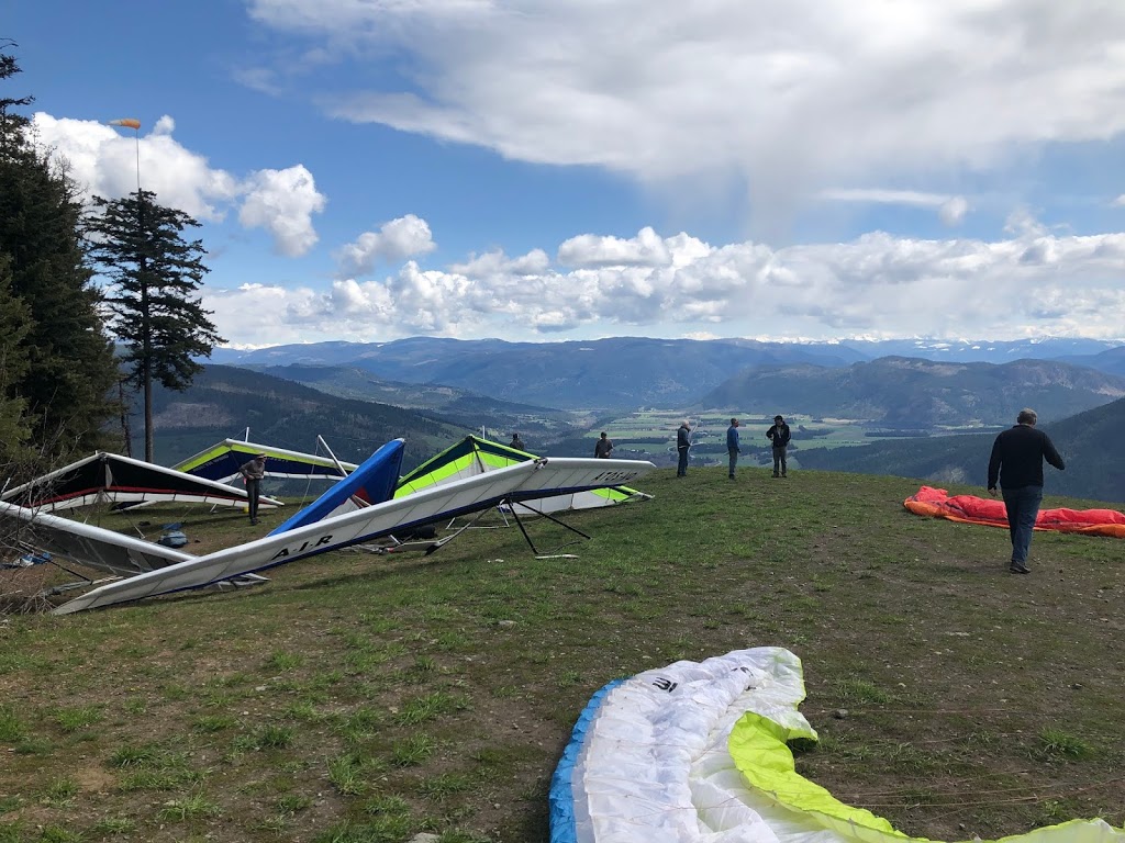 Freedom Flight School | 249 Lumby-Mabel Lake Rd, Lumby, BC V0E 2G5, Canada | Phone: (250) 307-7553