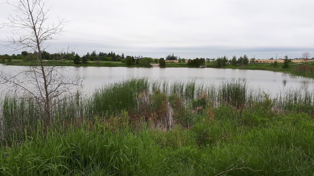 Rougeview Dog Park | 300 Rougeview Ave, Whitchurch-Stouffville, ON L4A 0G5, Canada