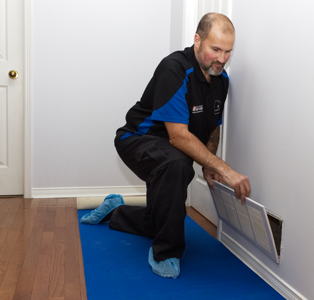 Home Depot Cleaning Services - Steam Dry Canada - Calgary | 11080 50 St SE #150, Calgary, AB T2C 5T4, Canada | Phone: (403) 214-7773