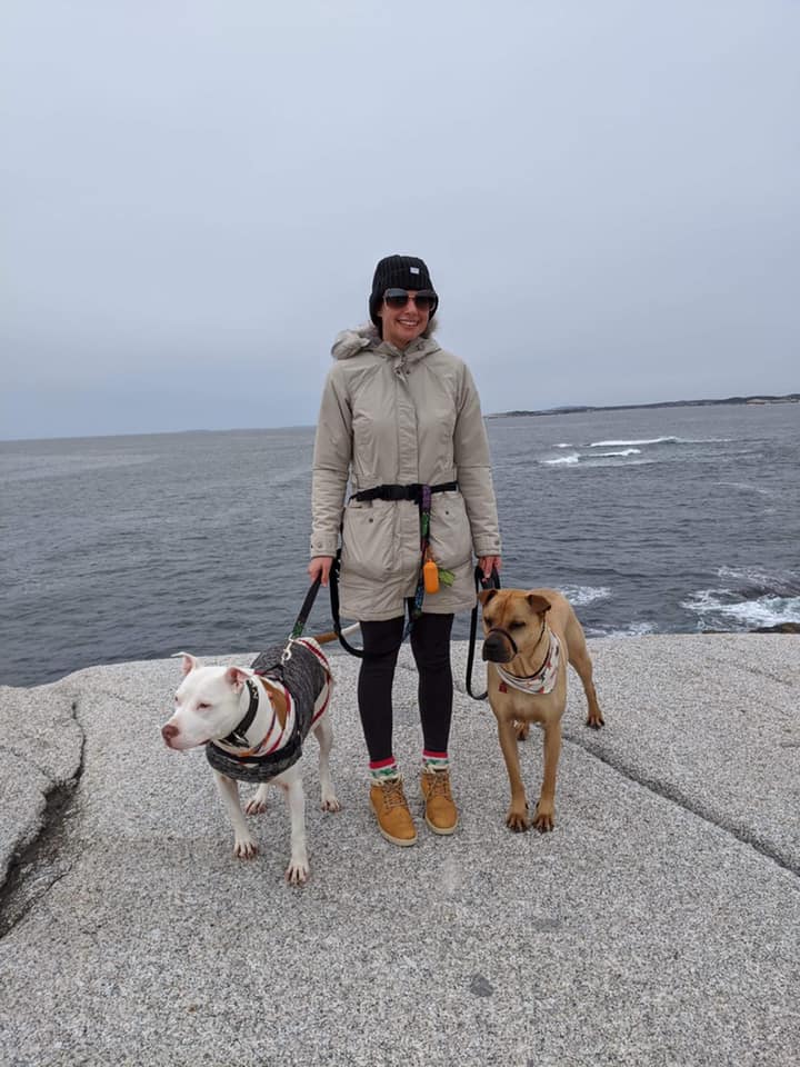 Halifax Veterinary Hospital | 6485 Quinpool Rd, Halifax, NS B3L 1B2, Canada | Phone: (902) 422-8595