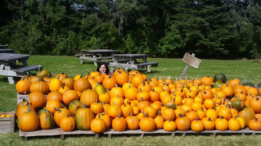 La Fleur Du Pommier Ltee | 79 Chemin Rue Goguen, Cocagne, NB E4R 5Y7, Canada | Phone: (506) 576-7946