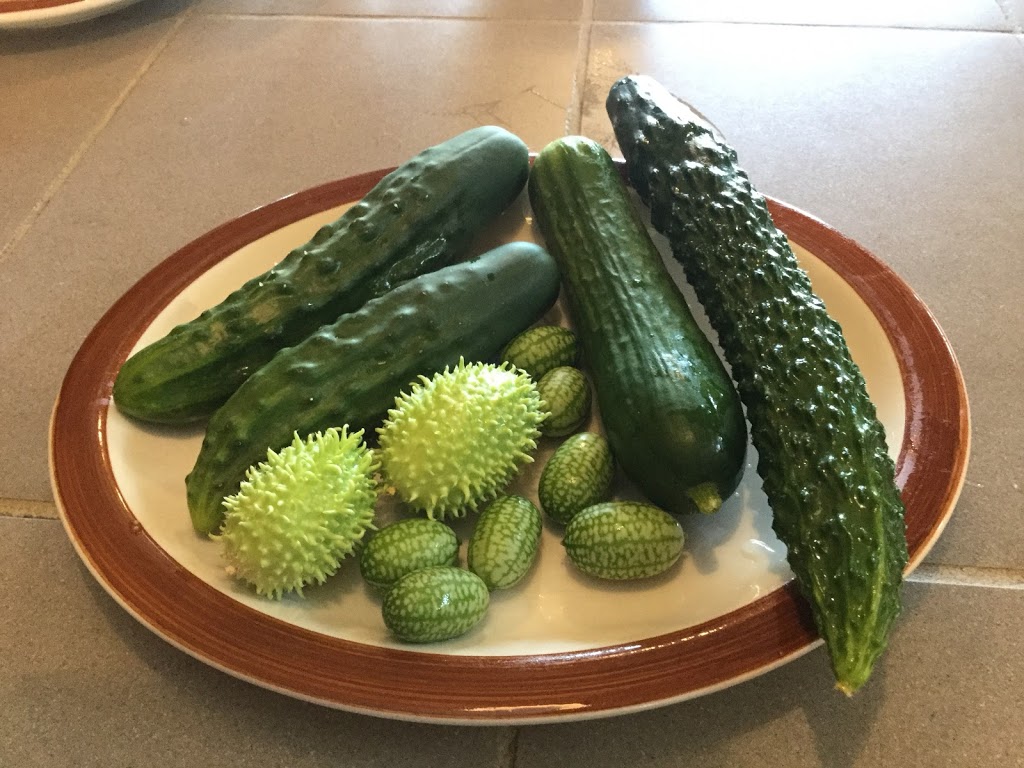 Les Jardins de lécoumène | 2855 Chemin de lÉcoumène, Saint-Damien, QC J0K 2E0, Canada | Phone: (450) 835-1149