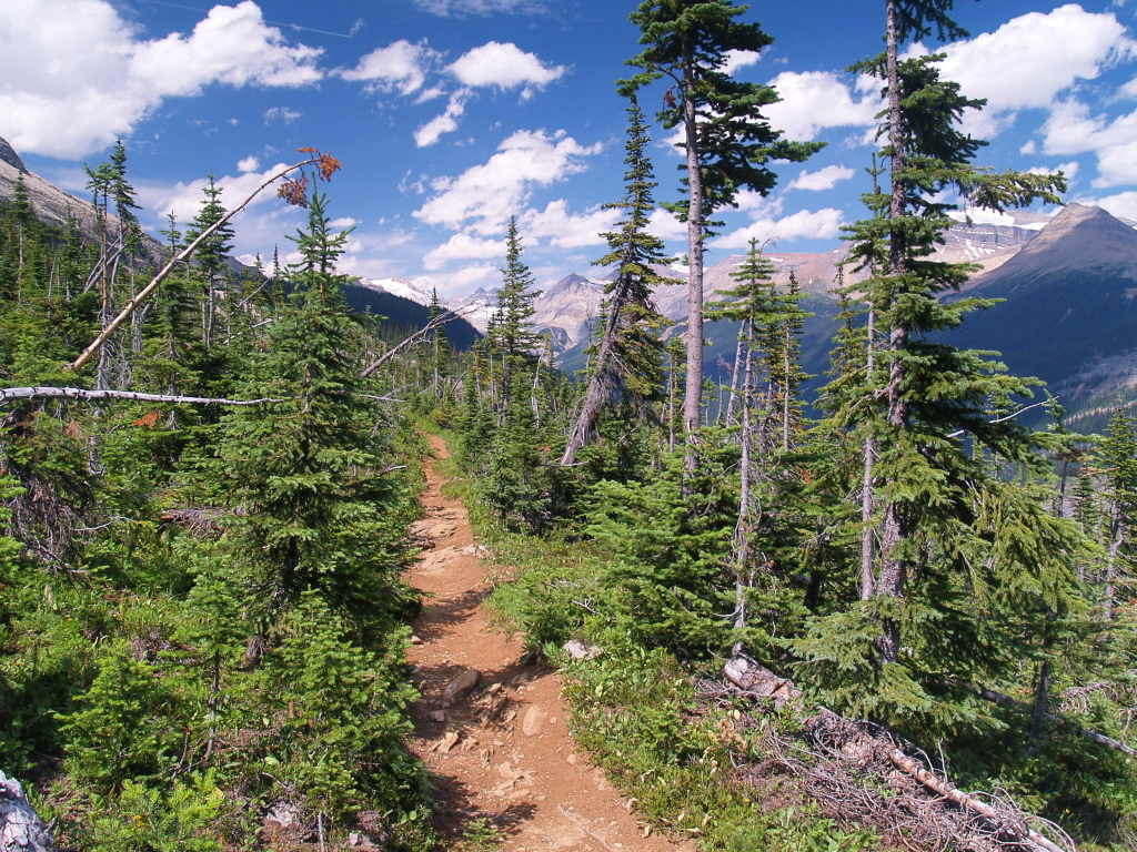 HI Yoho National Park, Whiskey Jack Wilderness Hostel | Yoho National Park Of Canada, Yoho Valley Rd, Columbia-Shuswap, BC V0A 1G0, Canada | Phone: (778) 328-2220