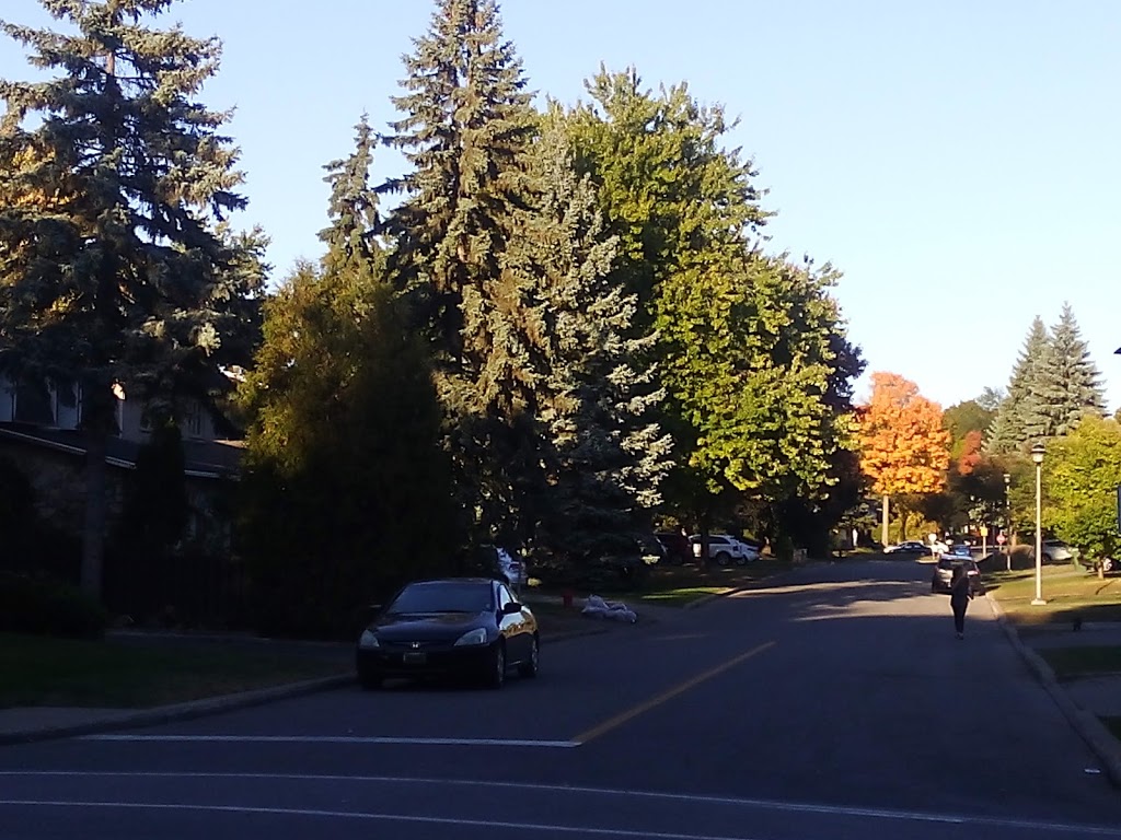 Parc Georges Springate | 4788 Rue Richmond, Pierrefonds, QC H9A 2Z2, Canada | Phone: (514) 872-0311