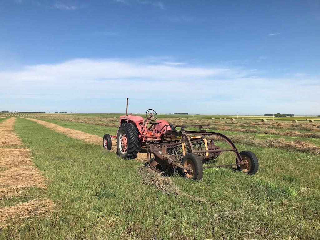 Willow acres | FC8V+99, Stirling, AB T0K 2S0, Canada | Phone: (403) 756-3514