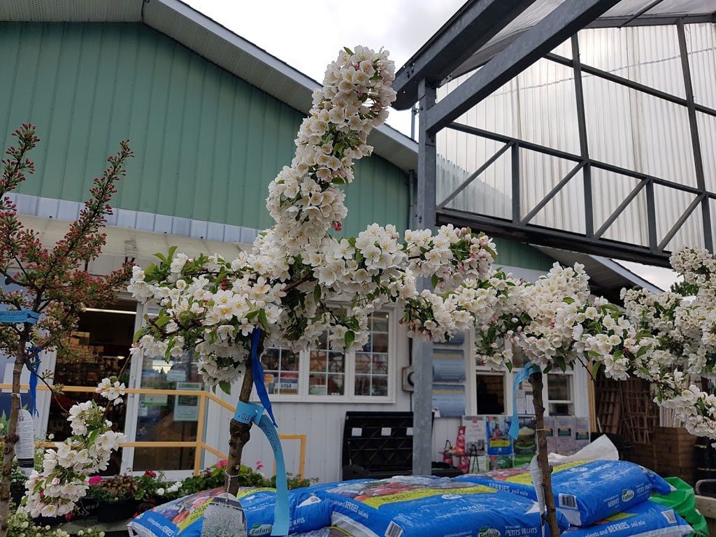 Peter Knippel Nursery & Garden Centre Inc | 4590 Bank St, Gloucester, ON K1T 3W6, Canada | Phone: (613) 822-0383