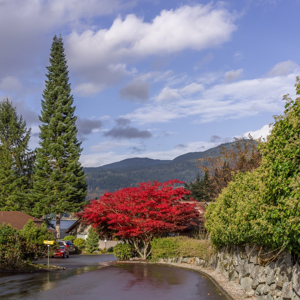 Sudden Valley Golf Course | 4 Clubhouse Cir, Bellingham, WA 98229, USA | Phone: (360) 734-6435