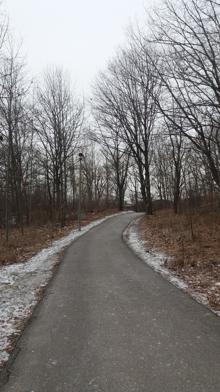 Roding Park | 600 Roding St, North York, ON M3M 2A6, Canada