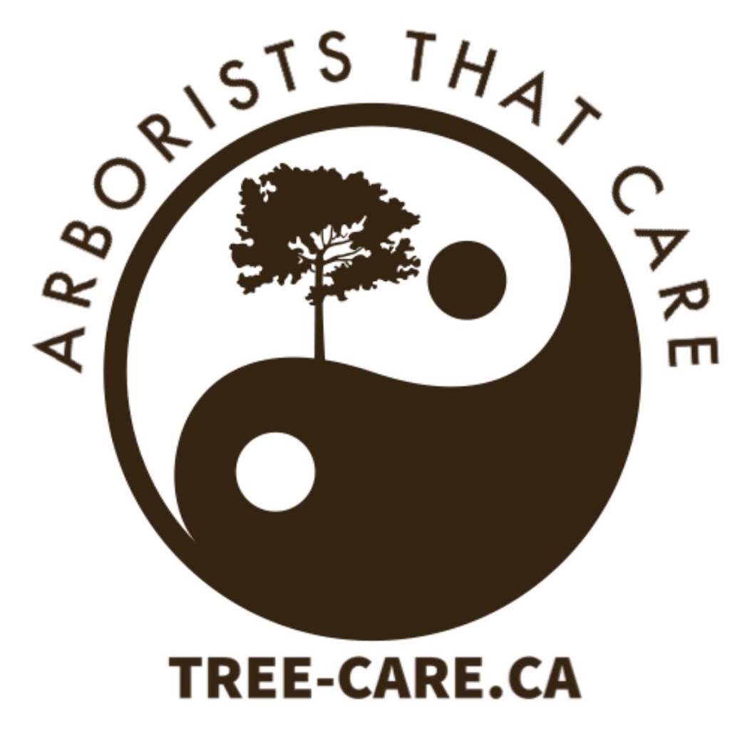 Anderstone Tree Service | 16656 Mississauga Rd, Terra Cotta, ON L7K 1L9, Canada | Phone: (416) 476-4269