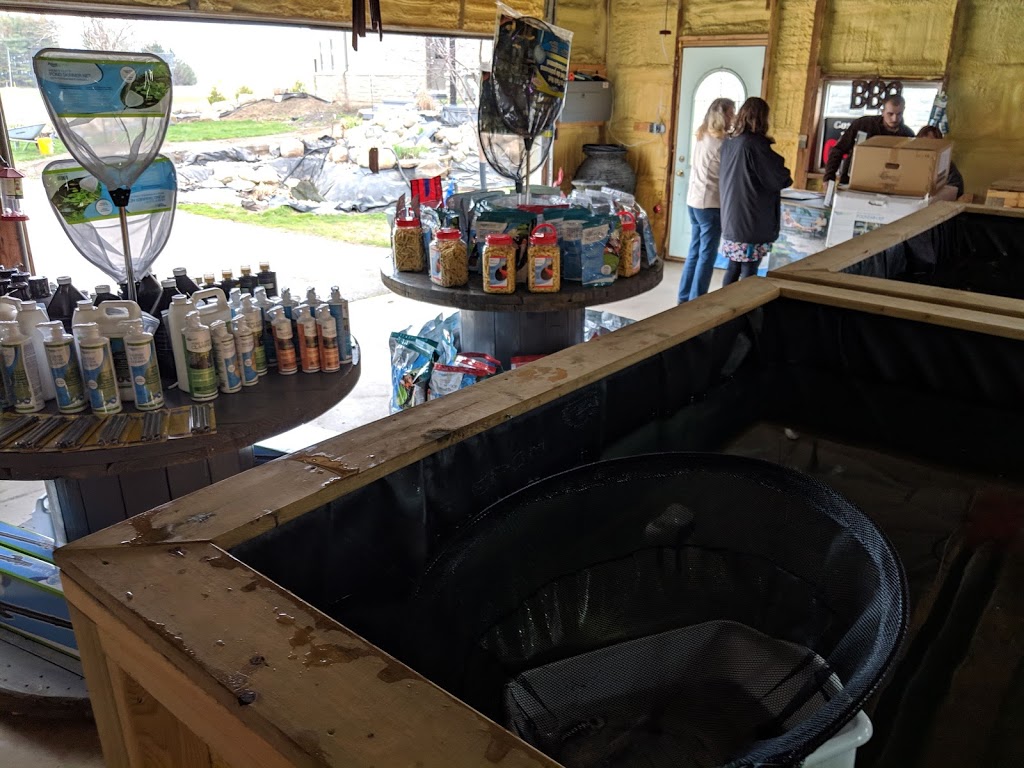 We’re So Koi | 12365 Ridge Line, Ridgetown, ON N0P 2C0, Canada | Phone: (519) 401-8191