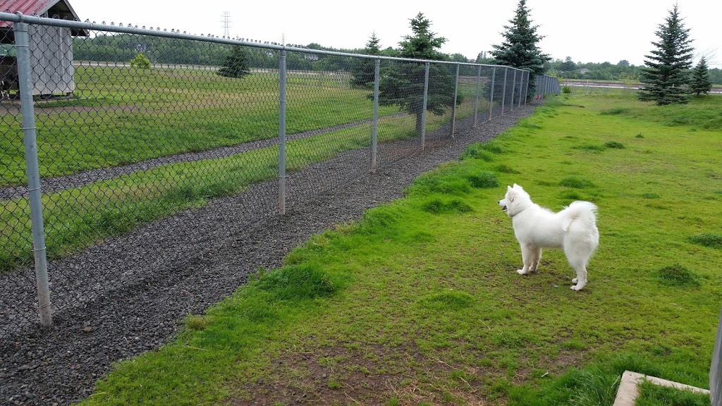 Isaacs Run Dog Park | 199 Lakeside Dr, Riverview, NB E1B, Canada | Phone: 387-2030