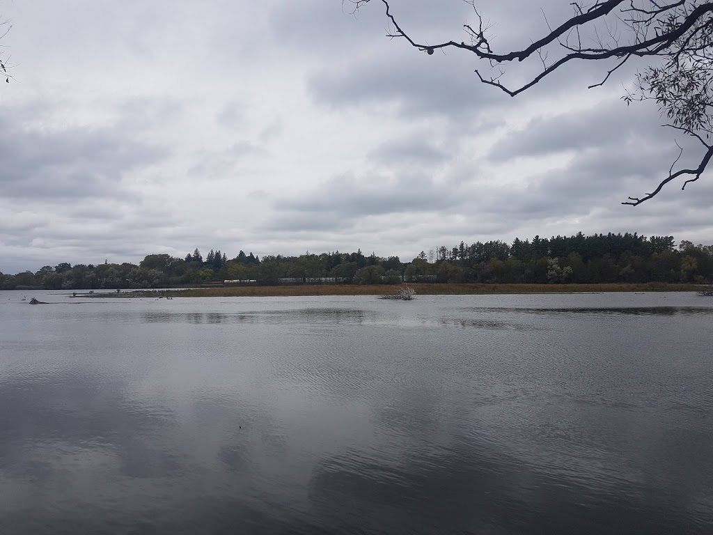 Ellacott Lookout | 235 Queen St E, Cambridge, ON N3C 2B5, Canada
