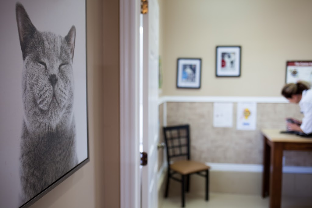 Dickinson & Baird Veterinary Hospital | 141 William Bell Dr, Hampton, NB E5N 6B4, Canada | Phone: (506) 832-3192
