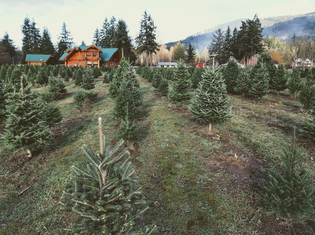 Fullner Christmas Tree Farm | 3783 E Hoff Rd, Everson, WA 98247, USA | Phone: (360) 592-5820