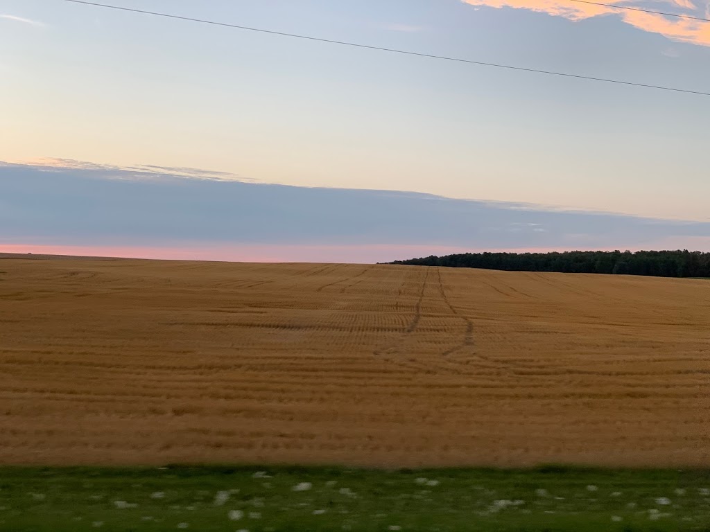 A Day in the Country | 23674 Highbury Ave N, London, ON N0M, Canada | Phone: (519) 225-2783