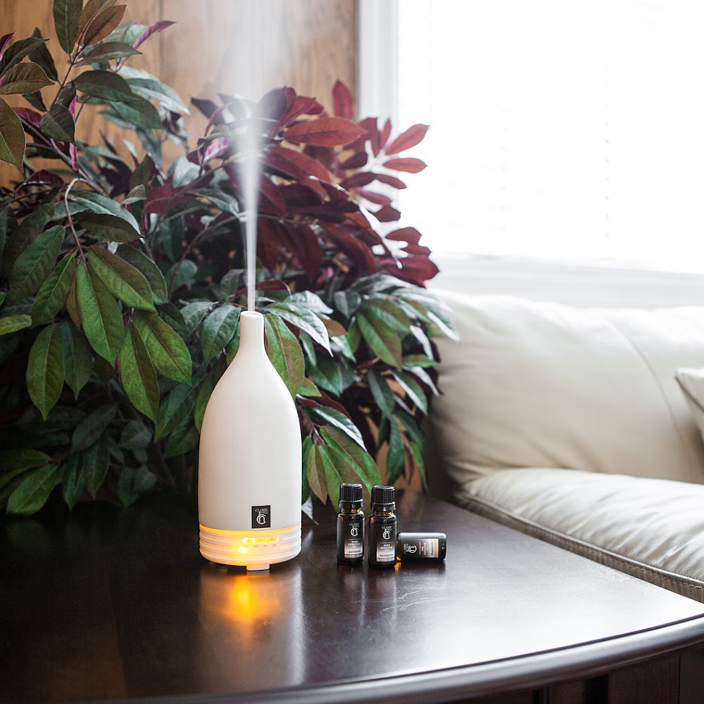 VIRIDIS SOLUTIONS INC. | 100 Brisbane Rd, North York, ON M3J 2K2, Canada | Phone: (877) 603-6888
