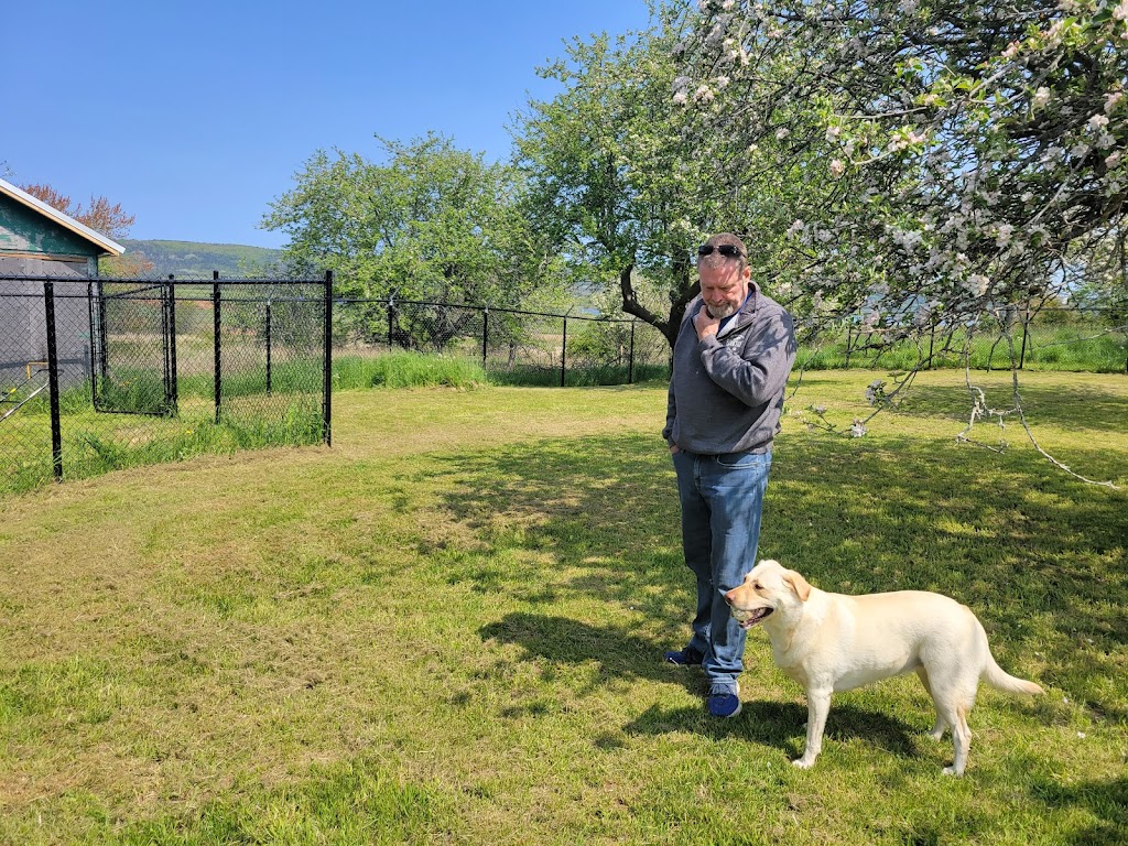 Rock & Stroll Dog Camp | 675 Marsh Rd, Round Hill, NS B0S 1A0, Canada | Phone: (902) 526-2921