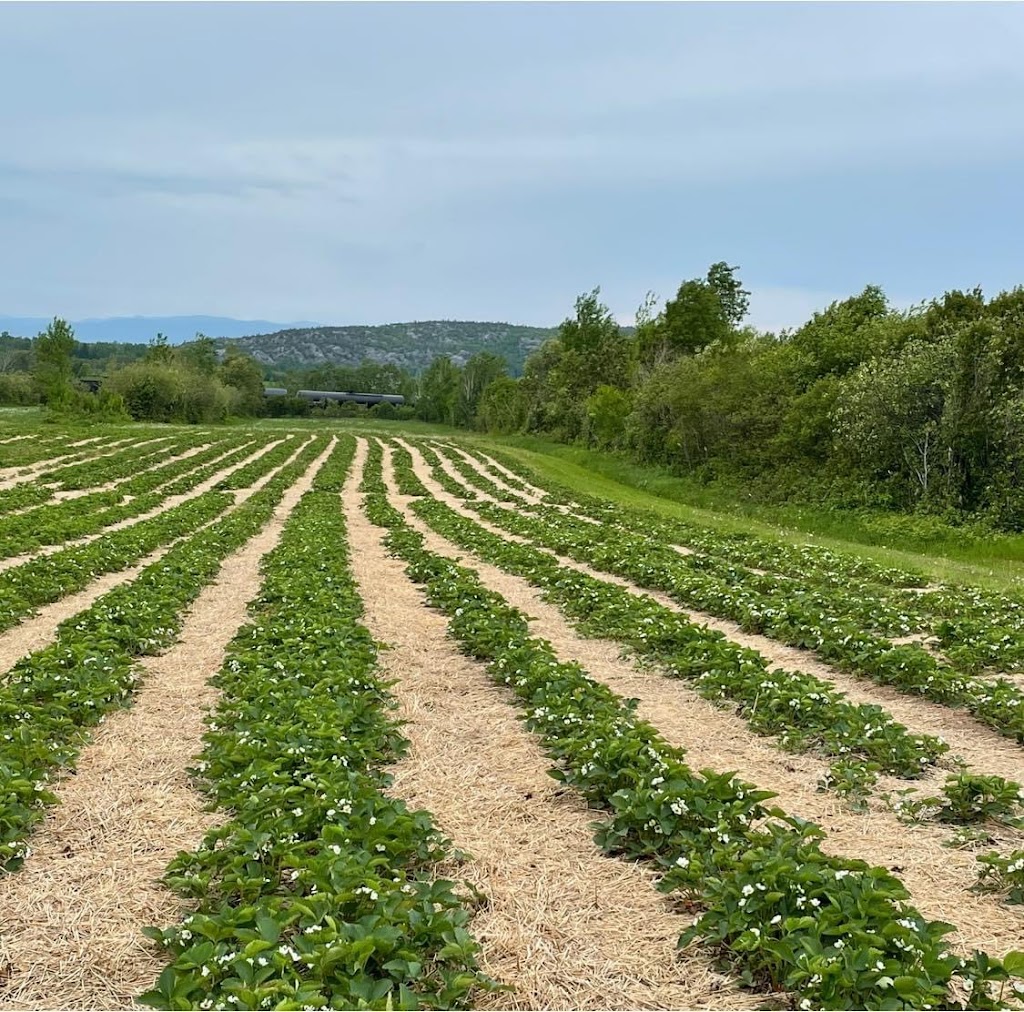 Ferme Alexandre Pelletier | 735 route 230 est, Saint-Pascal, QC G0L 3Y0, Canada | Phone: (418) 492-3571