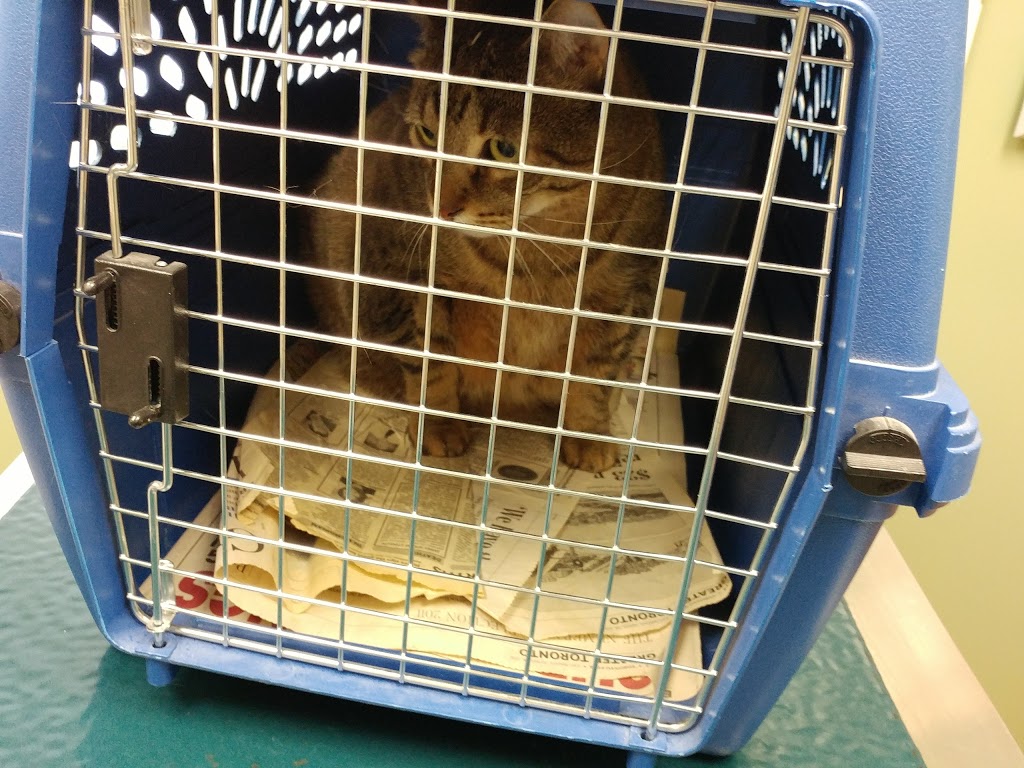 Otonabee Animal Hospital | 3881 Wallace Point Rd, Peterborough, ON K9J 6Y3, Canada | Phone: (705) 743-4936