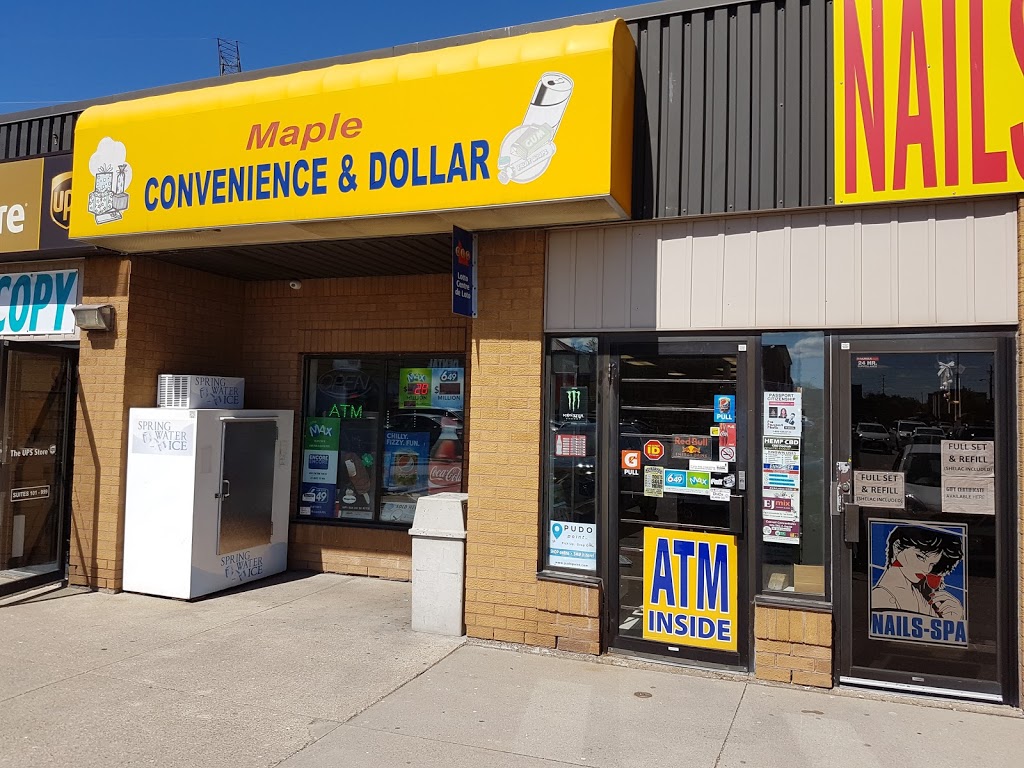 Maple Convenience And Dollar/Vape Store/E-Liquids/JUUL/STITH/STI | 1235 Fairview St, Burlington, ON L7S 2H9, Canada | Phone: (905) 681-1229