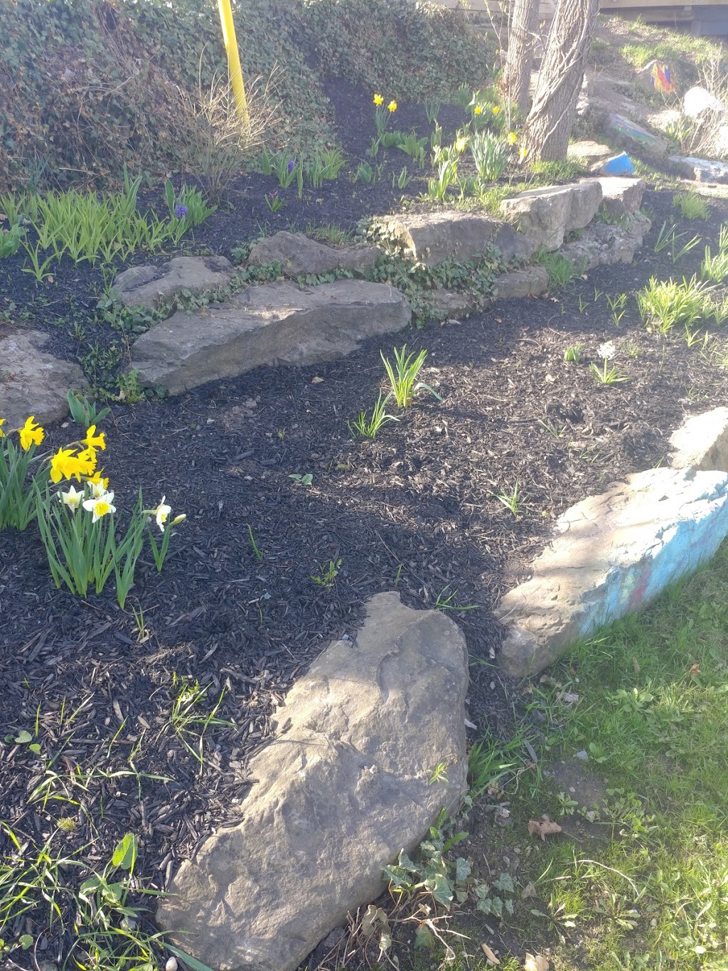 Guerrilla Garden Park | Division St, Welland, ON L3C 1H8, Canada