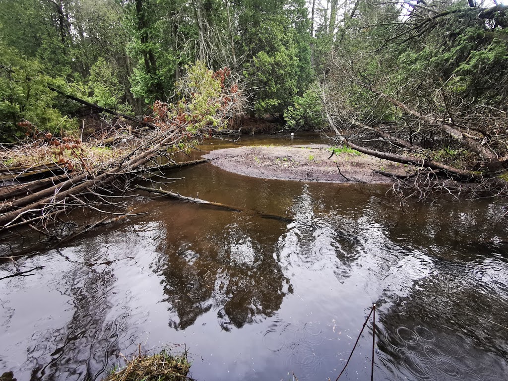 Goodrich-Loomis Conservation Area Parking | 1091-1345 Pinewood School Rd, Codrington, ON K0K 1R0, Canada | Phone: (613) 394-4829