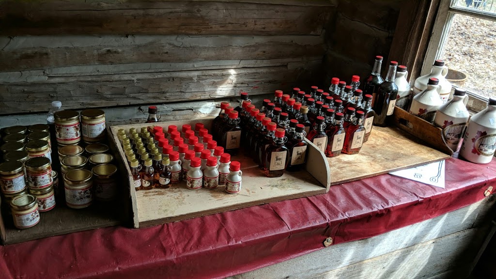 Horton Tree Farm | 5859 Slaters Rd, Gormley, ON L0H 1G0, Canada