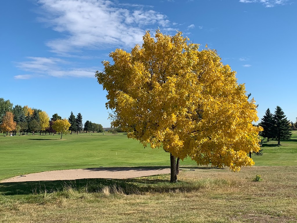 RT Custom Golf | 11015 178 Ave NW, Edmonton, AB T5X 6J3, Canada | Phone: (780) 267-9340