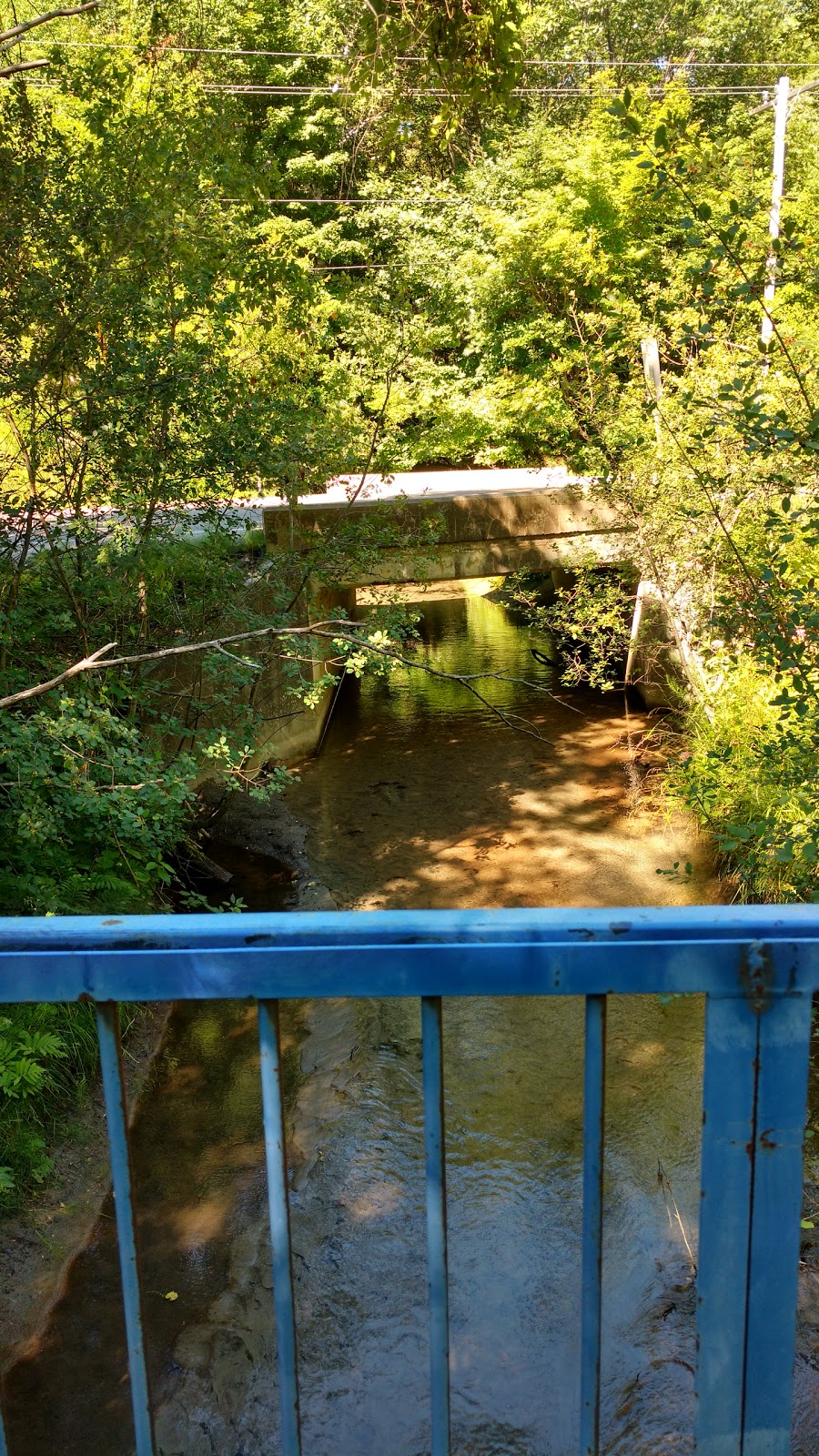 Georgian Bay Sanitation | 830 Champlain Rd, Tiny, ON L9M 0E3, Canada | Phone: (705) 549-7181