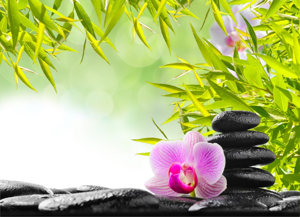 Health Center Nature Concept Inc. | 415 Rue Clemenceau local 201, Québec, QC G1C 7B6, Canada | Phone: (418) 667-4003