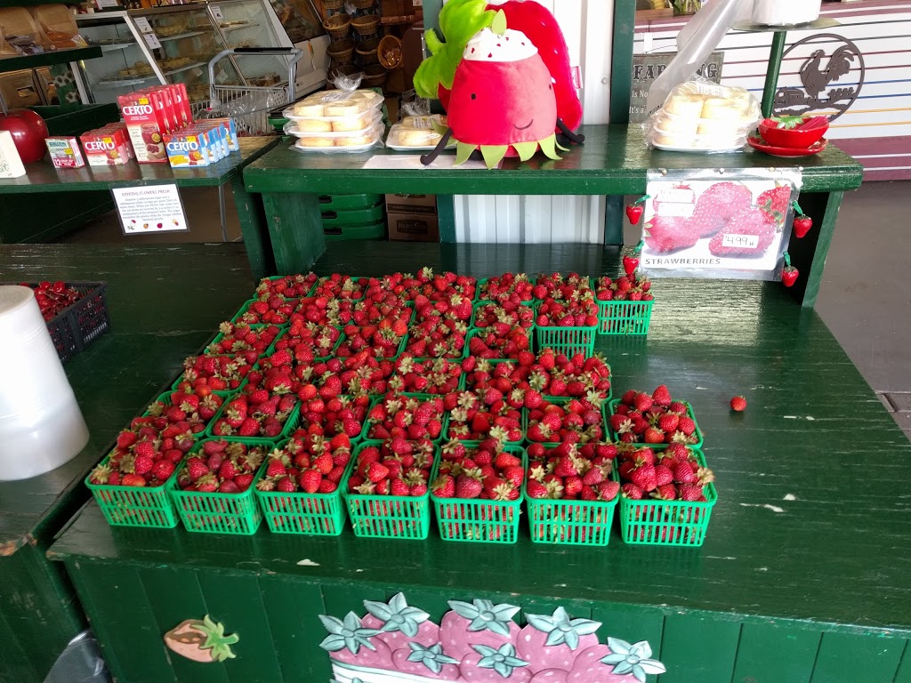 Thomas Brothers Farm Market | 5856 Colonel Talbot Rd, London, ON N6P 1J1, Canada | Phone: (519) 652-5551