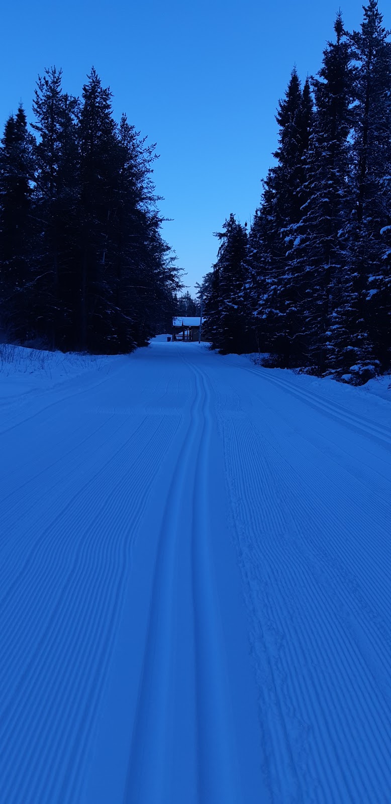 Gîte Terre de paix & Bôme la patate | 151 Rue Principale, Albanel, QC G8M 3J3, Canada | Phone: (418) 321-2071