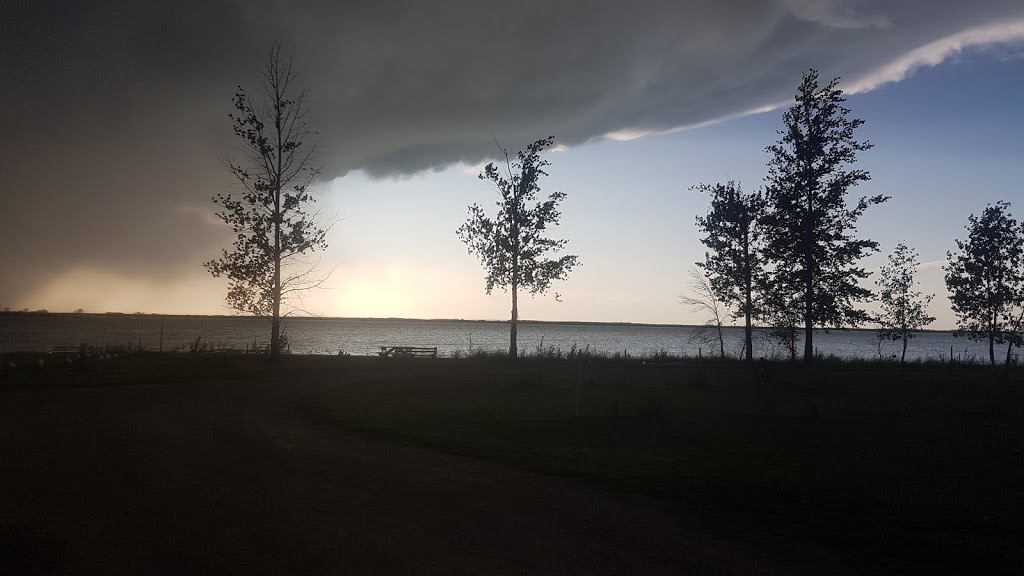 Last Mountain Regional Park | Govan, SK S0G 1Z0, Canada | Phone: (306) 484-4483