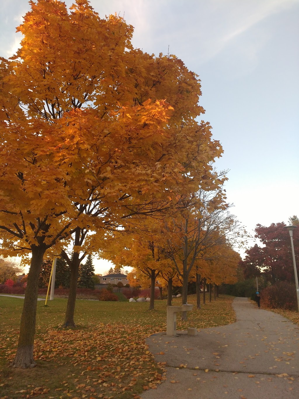 Muirhead Park | 65 Muirhead Rd, North York, ON M2J 3W4, Canada | Phone: (416) 392-2489