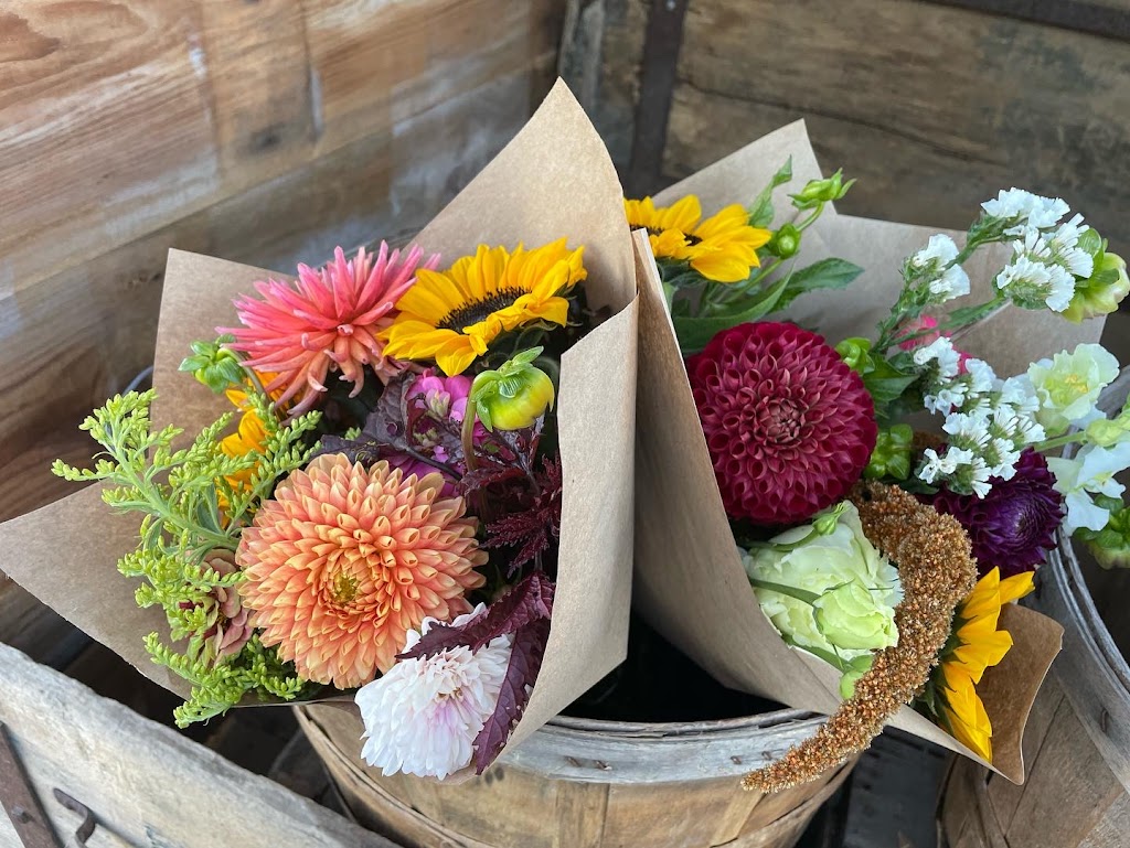 Meadowlark Flower Farm | 3059 Durham Regional Hwy 2, Clarington, ON L1C 3K5, Canada | Phone: (905) 431-6248