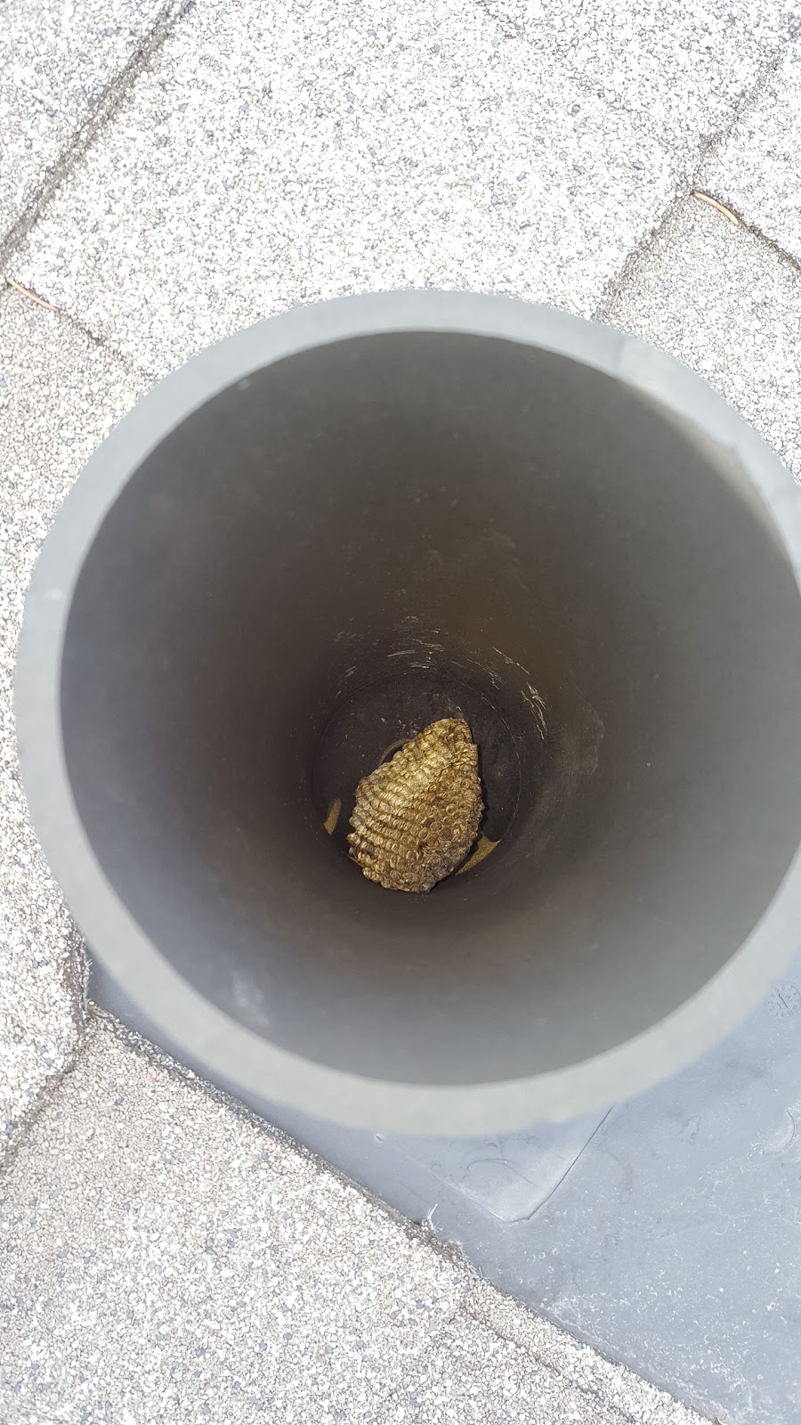 Inspec-Pro Home Inspection / Inspecteur en batiment | Rue Michel-Parizeau, Gatineau, QC J9J 3X2, Canada | Phone: (613) 606-1901
