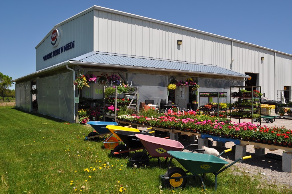 Wright’s Feeds ‘N Needs | 3490 ON-7A, Blackstock, ON L0B 1B0, Canada | Phone: (905) 986-4201