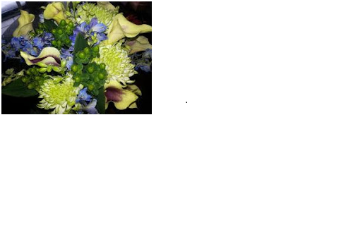 South End Floral | 218 Abbott Rd, Buffalo, NY 14220, USA | Phone: (716) 822-7562