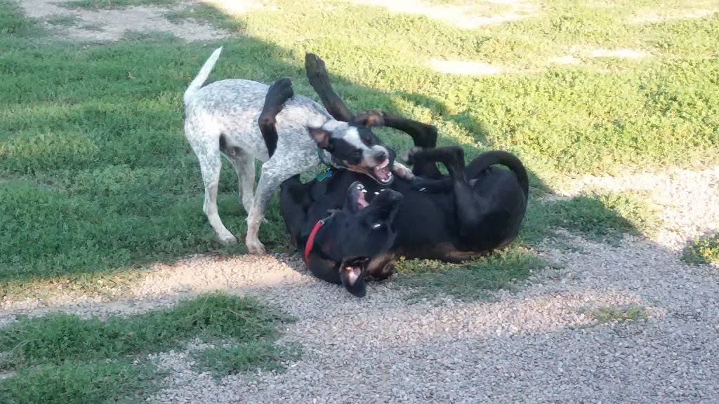 The Paw Park - Off-Leash Dog Park | 550 Smith Rd, East Amherst, NY 14051, USA | Phone: (716) 830-8853