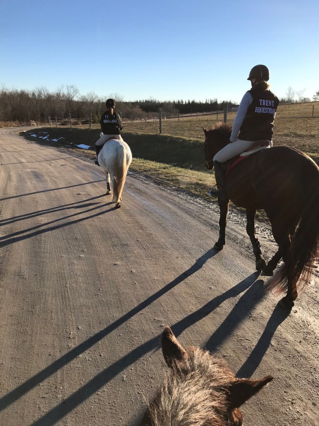 Kildare Stables | Selwyn, ON K9J 6X5, Canada | Phone: (705) 931-1629